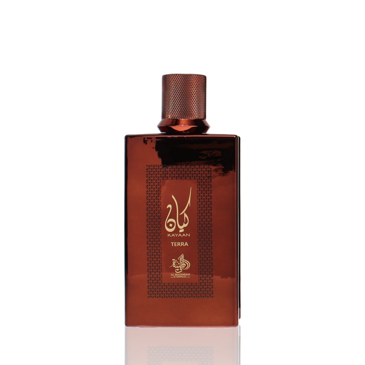 Al Wataniah Eternal Kayaan Terra EDP M 100ml Boxed
