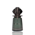 Fragrance World Thunder EDP M 100ml Boxed