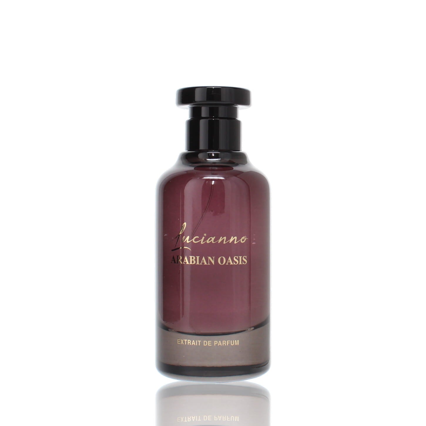 Lucianno Arabian Oasis EDP M 100ml Boxed