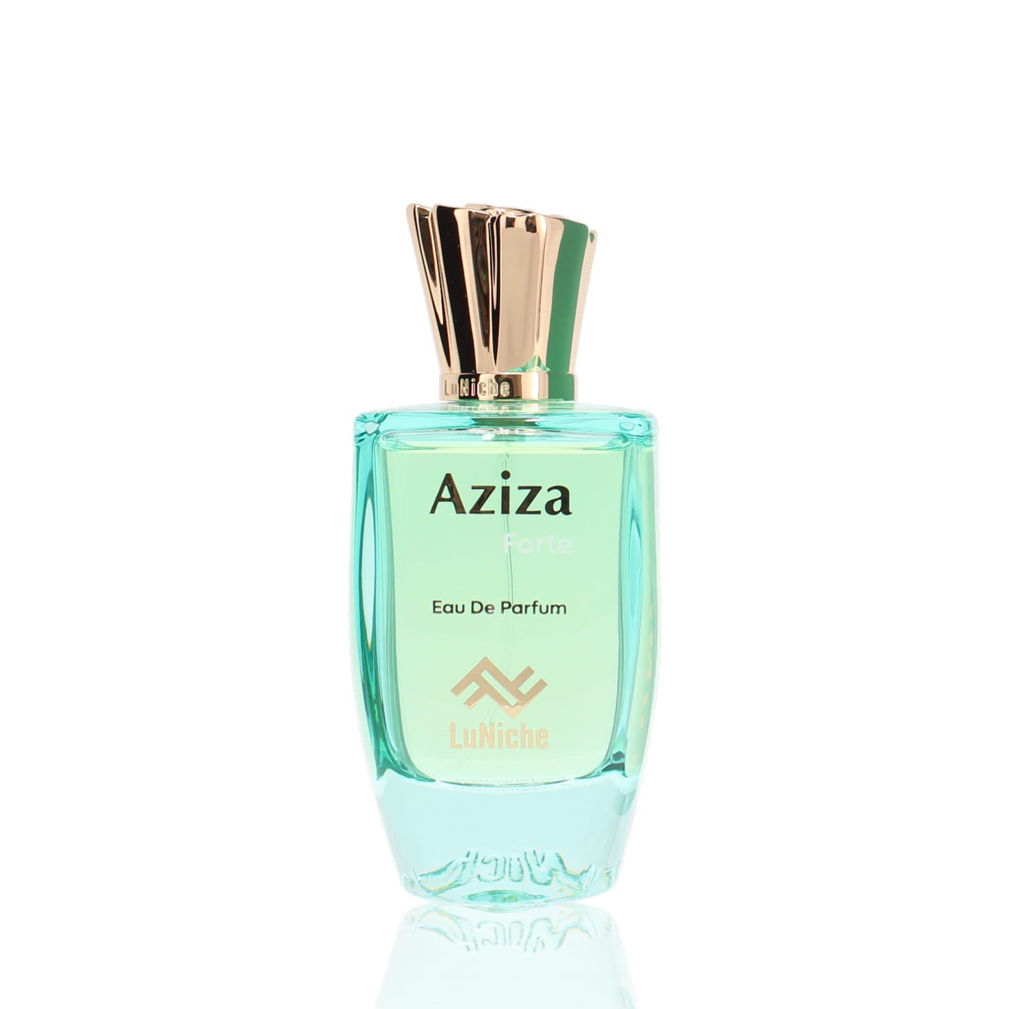 Luniche Aziza Forte EDP M 100ml Boxed