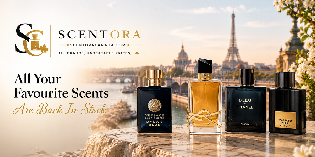 All your favourite scents are back in stock — Scentora Canada